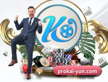 prokai-yun.com APP 深度功能